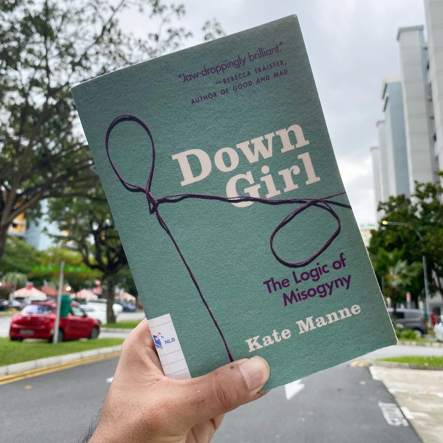 Book cover for Down Girl: The Logic of Misogyny